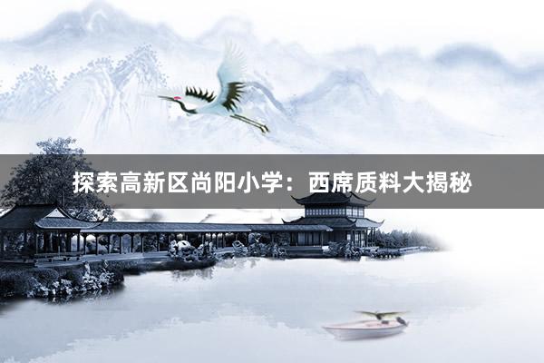 探索高新区尚阳小学：西席质料大揭秘