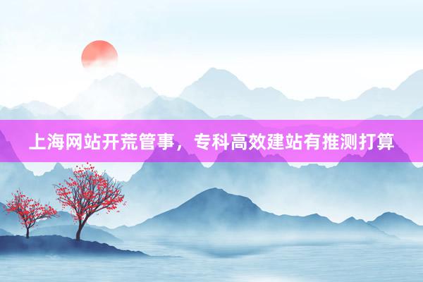 上海网站开荒管事，专科高效建站有推测打算
