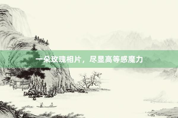 一朵玫瑰相片，尽显高等感魔力